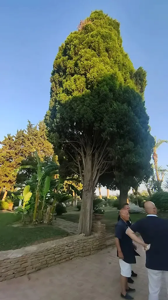 Agriturismo Carbona_Castelvetrano_slider_image_2