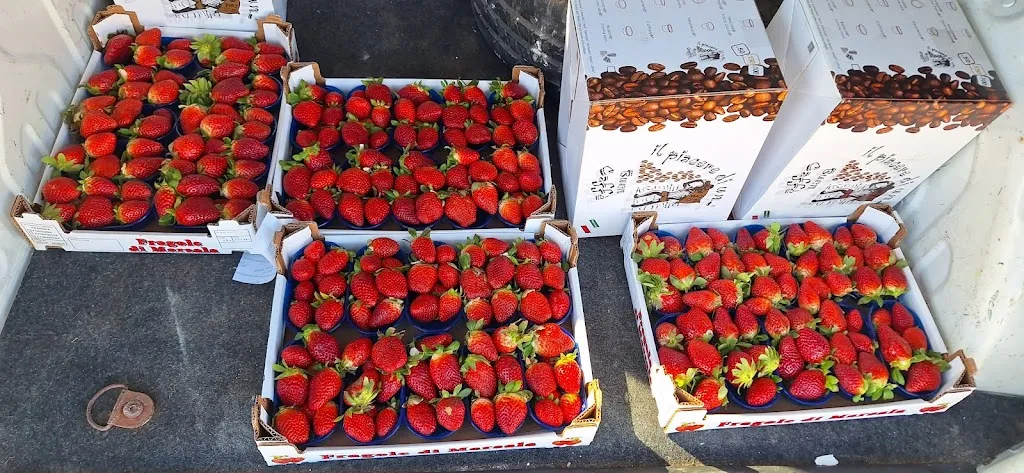 Area di Servizio Svincolo A29_Castelvetrano_slider_image_3