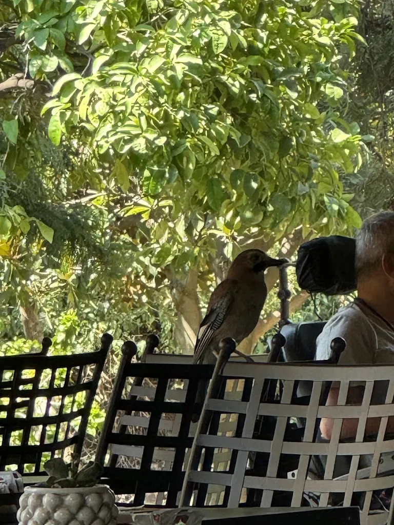 Georgiana Dragomir_Casa del Massaro_Chianchitta-Pallio_review