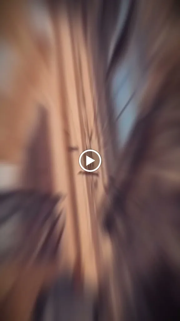 Taverna Dei Canti_Ciaculli_slider_image_2