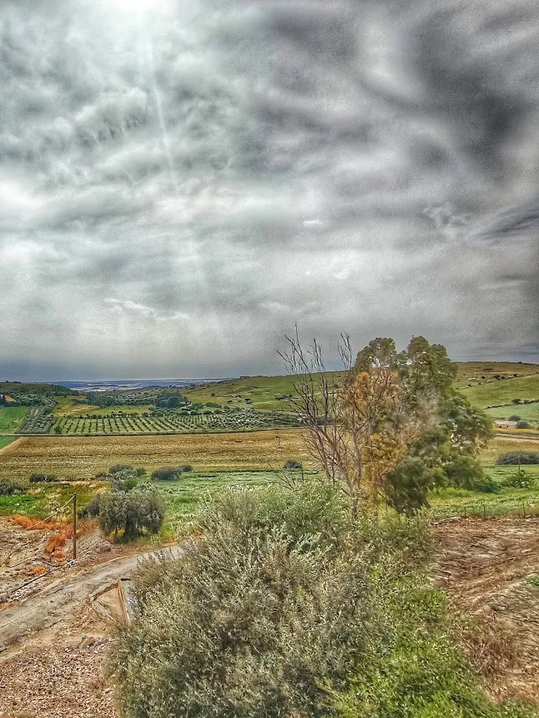 Maurizio Gatto_Ganzeria_Chiaramonte Gulfi_review