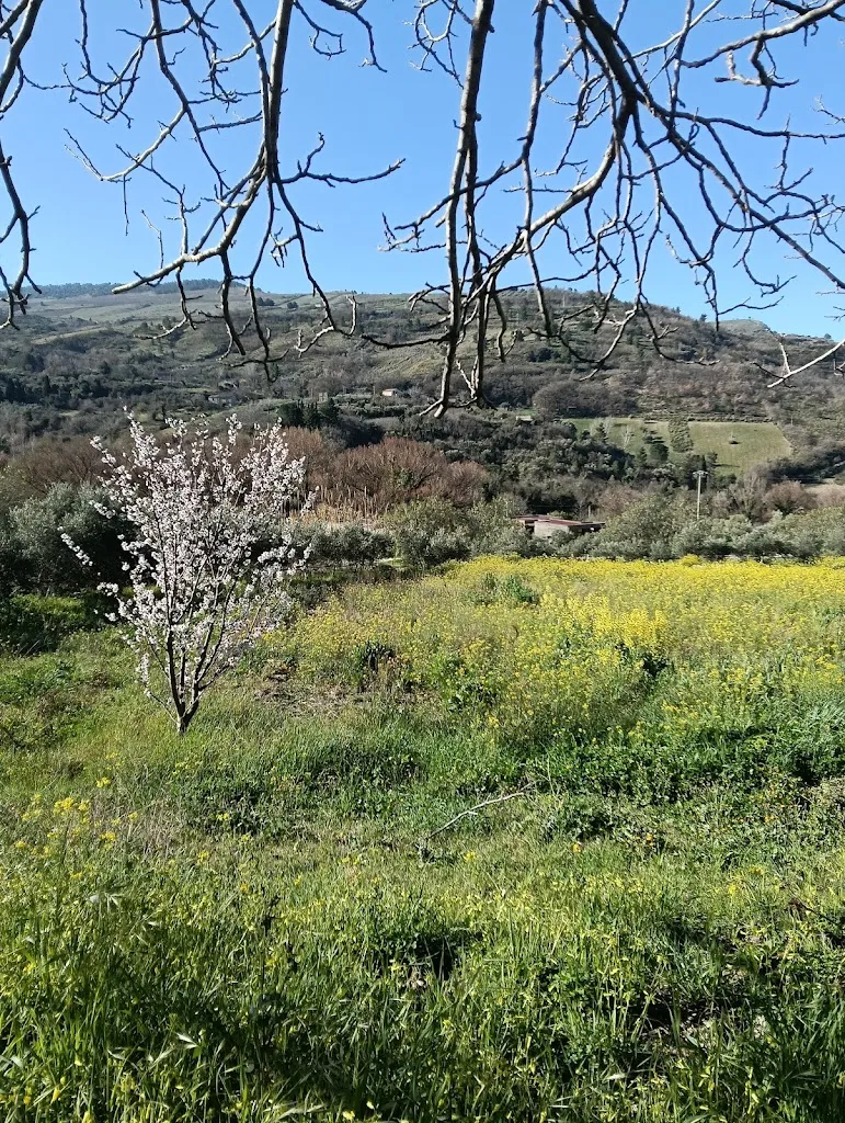 Oultiana Vrousai_Il Bevaio di Corleone_Corleone_review