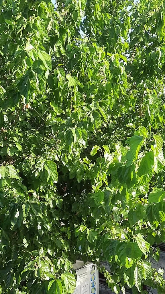 Tenute Pollara - Piscina_Corleone_slider_image_2