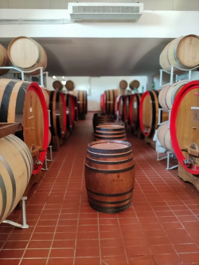 Tenute Pollara - Piscina_Corleone_slider_image_3