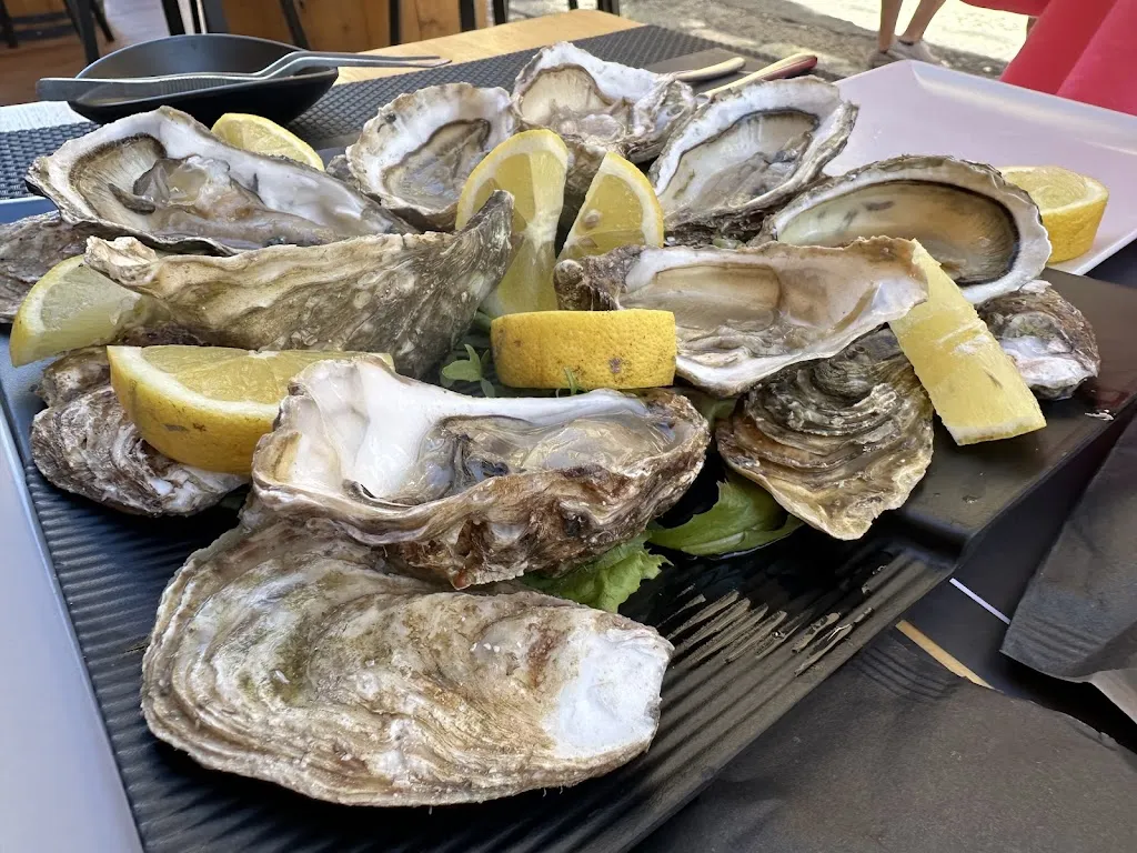 Zhidkov Nicolai_Deja vu_Cefalù_review