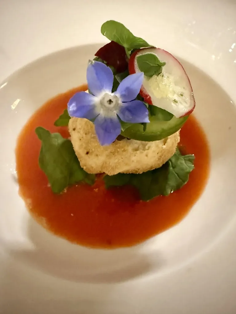 Catherine S_Gimmi_Lecce_review