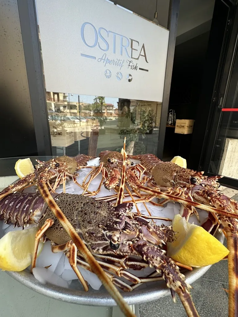 Ostrea Aperitif Fish_Favara_slider_image_3