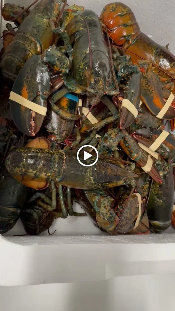 Sikania Ristorante Pizzeria bed & breakfast_Comiso_slider_image_2