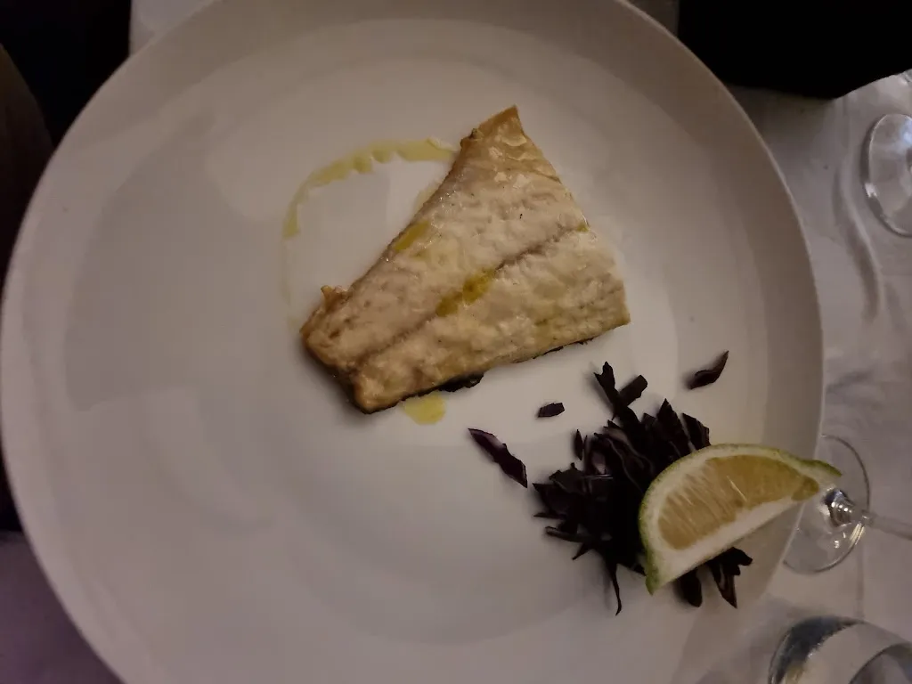 Michael D_Zafran By Jammola_Donnalucata_review