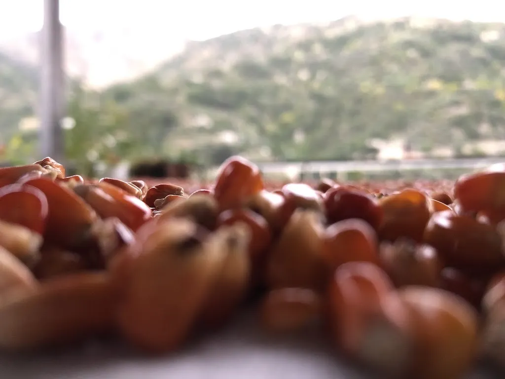 Menu_Ristorante Il Saraceno_Fiumedinisi_image_3