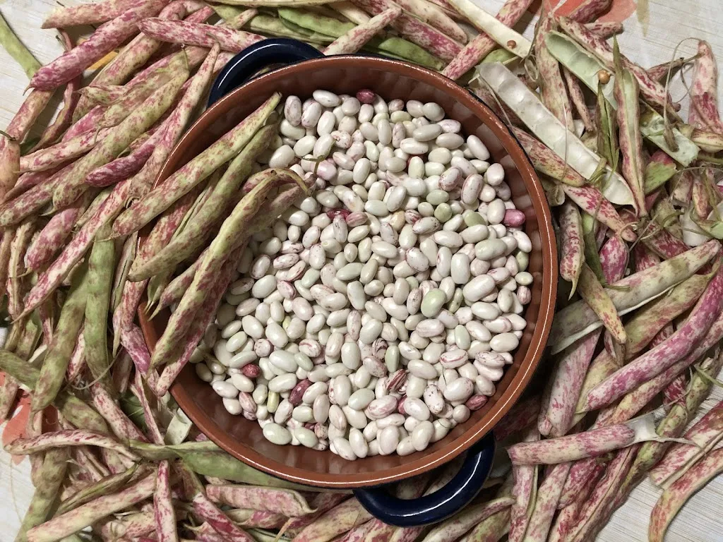 Menu_Ristorante Il Saraceno_Fiumedinisi_image_4