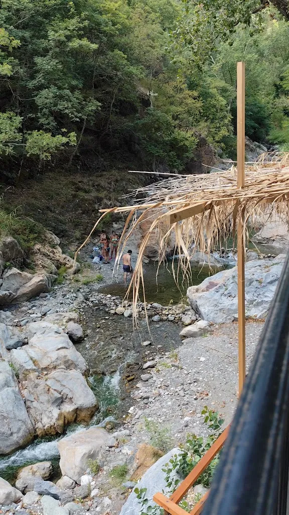 veronica papa_Rusti e Mancia di Cannetti_Fiumedinisi_review