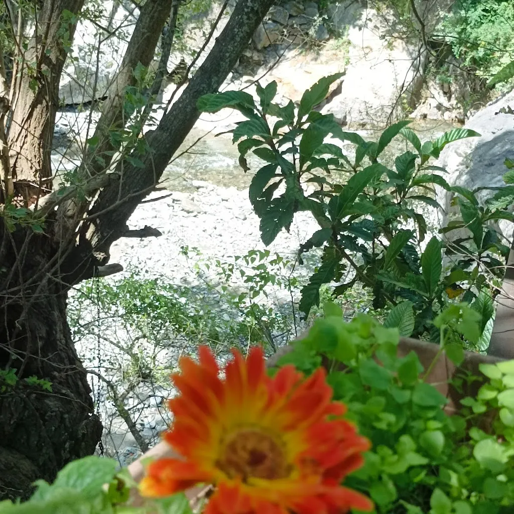 Alessandro Moschitta_Rusti e Mancia di Cannetti_Fiumedinisi_review