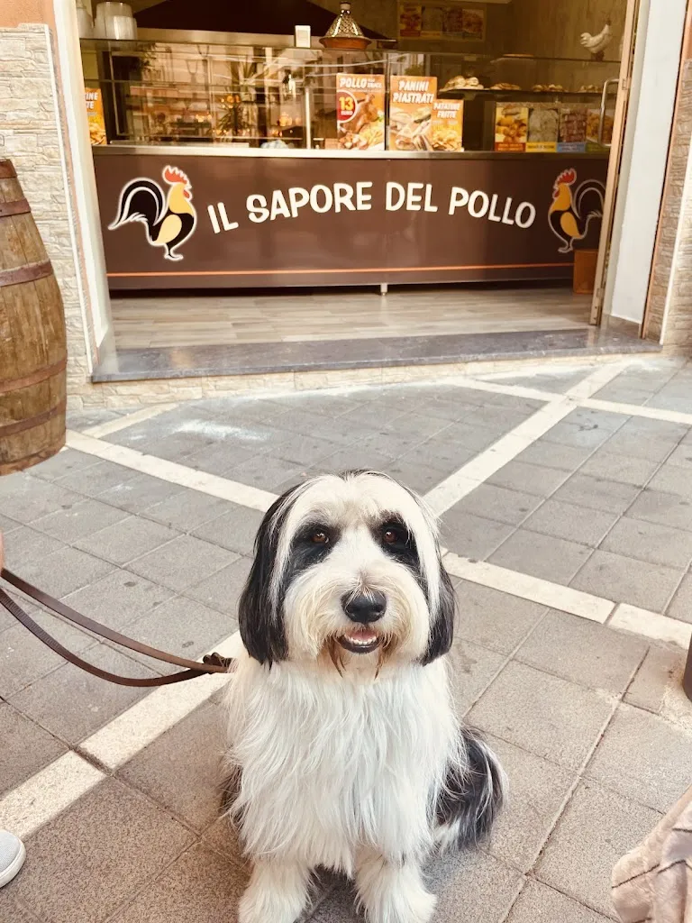 Diána Virág_IL SAPORE DEL POLLO_Ficarazzi_review