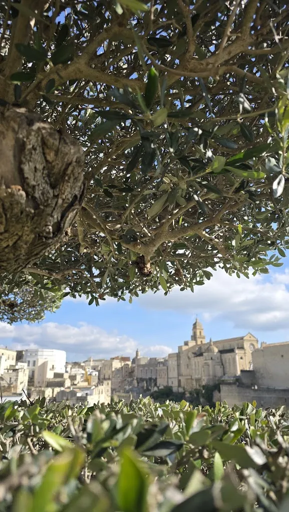 Cosimo PINCOPALLINO_Madonna della Stella Resort_Gravina in Puglia_review