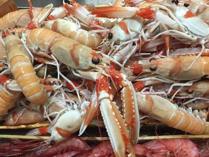 La pescheria onda blu_Ficarazzi_slider_image_2