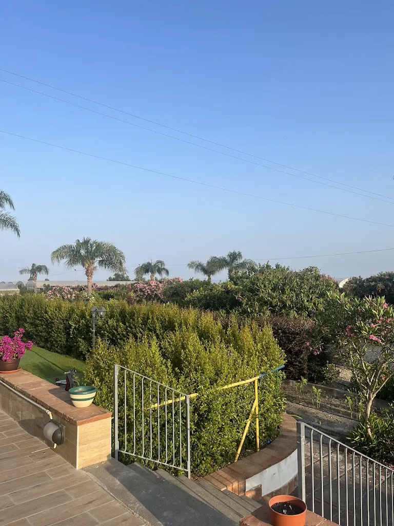 Falafelraffel_Land Of Dreams_Fiumefreddo Sicilia_review