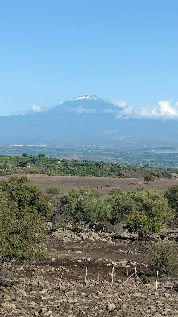 88&90 restaurant in Francofonte