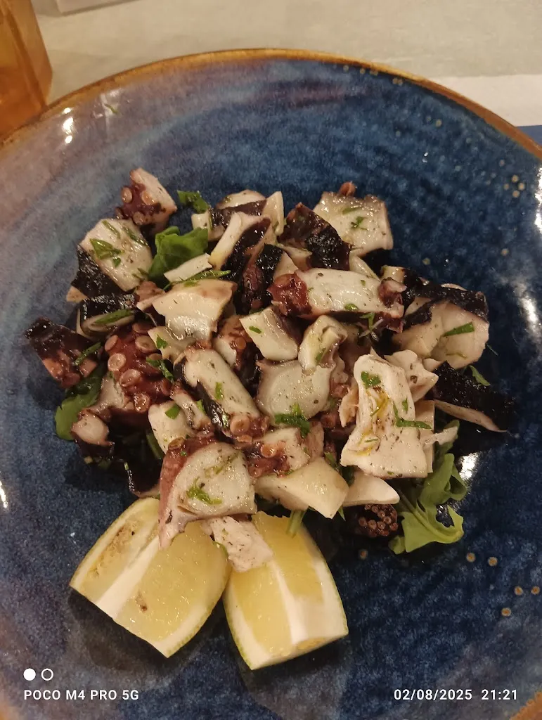 Akela TO19_Atlantis Portorosa_Furnari_review