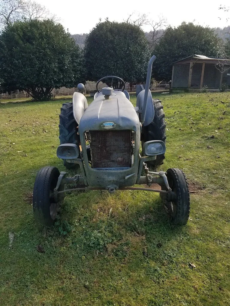 Juan Carbonell_Ristorante Pizzeria Furnari_Furnari_review