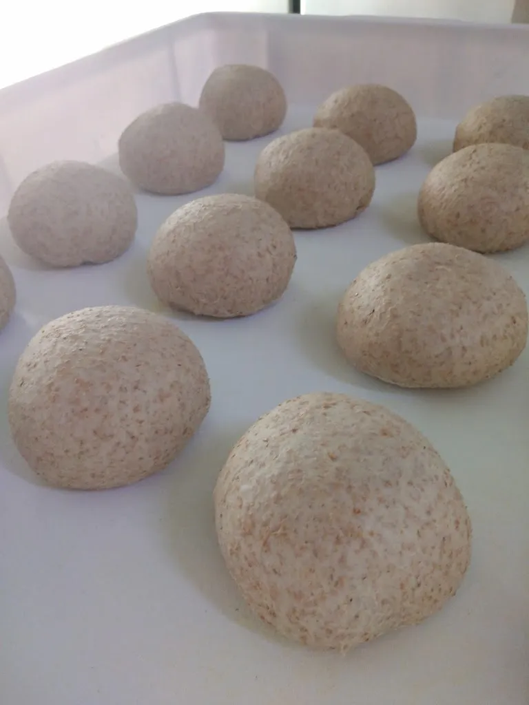 Menu_The Queen_Furnari_immagine_3