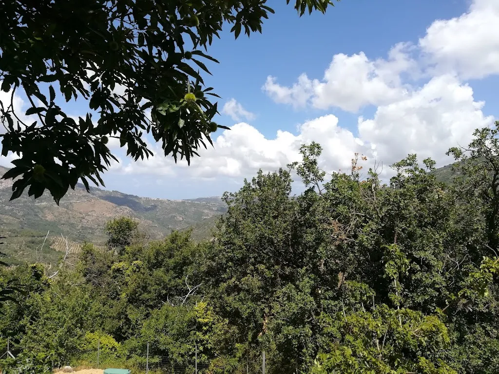 Ristorante Fattoria Fabio_Galati Mamertino_slider_image_3