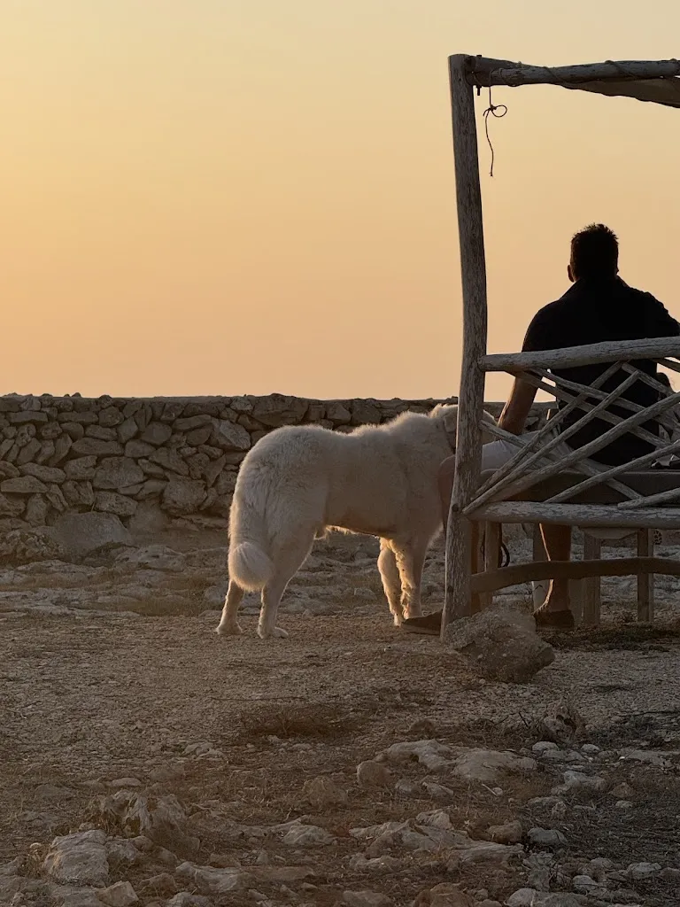 Katerina Vlahopoulou_Cibo Chiacchiere e Vino_Favignana_review