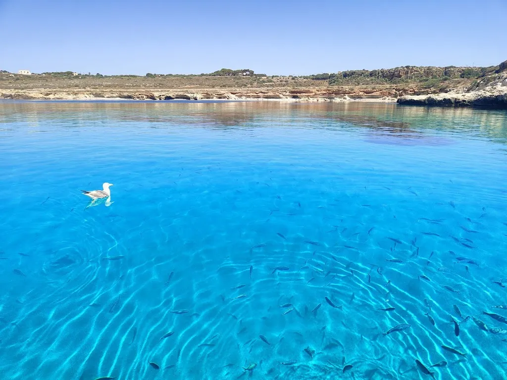 Dalla rete al piatto_Favignana_slider_image_3