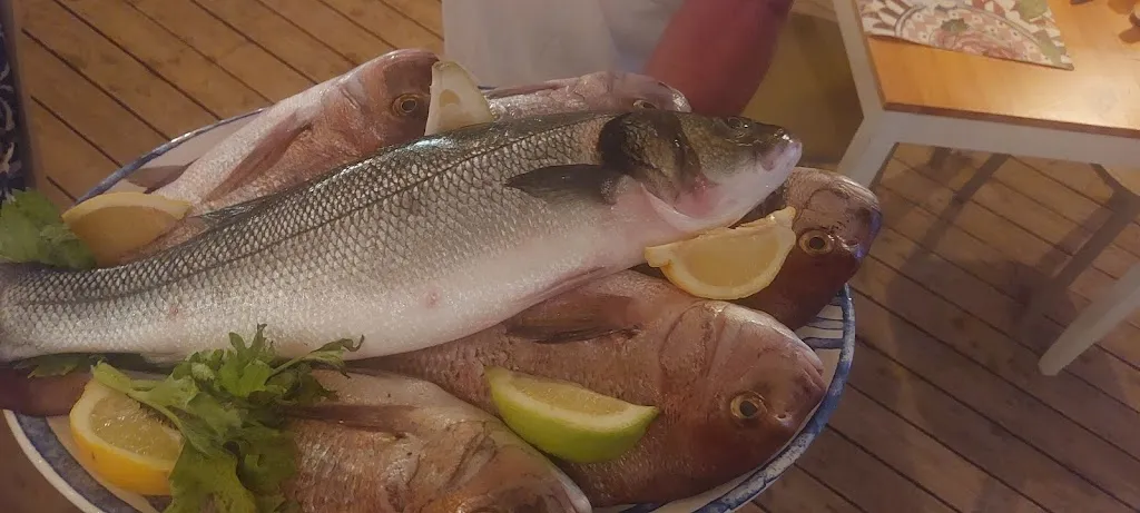 Susan Eppel Caroppo_Sea Club Favignana_Favignana_review