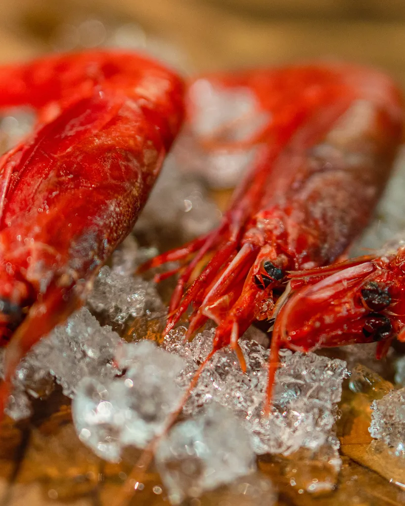 Trattoria La Lampara_Favignana_slider_image_2