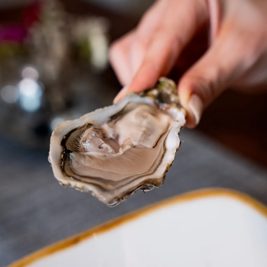 Menu_Ristorante pesce Flambè 18 | Vasto_Casalbordino-Miracoli_immagine_8