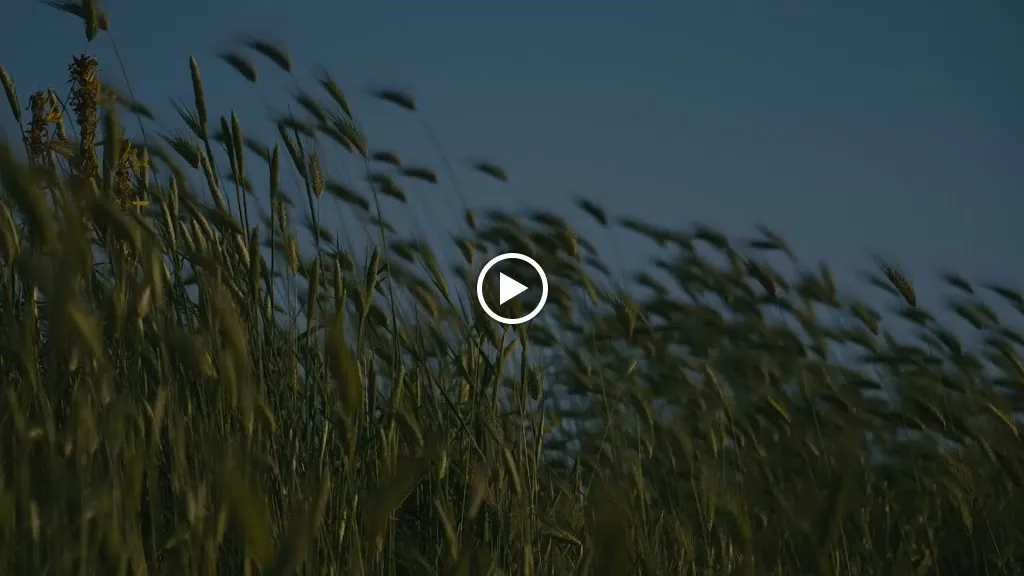 Donna Vi | Hotel Ristorante Spa_Geraci Siculo_slider_image_2