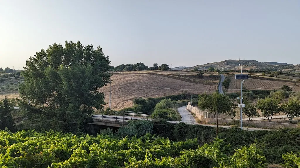 Maurizio Cappitta_LiberoContadino_Giarratana_review