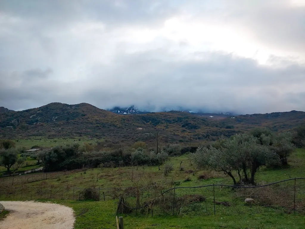 Davide Castiglia_Casale Valle Agnese_Godrano_review