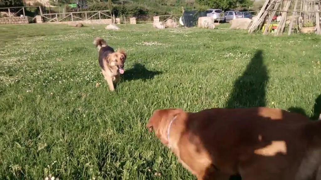 Casale Valle Agnese_Godrano_slider_image_2