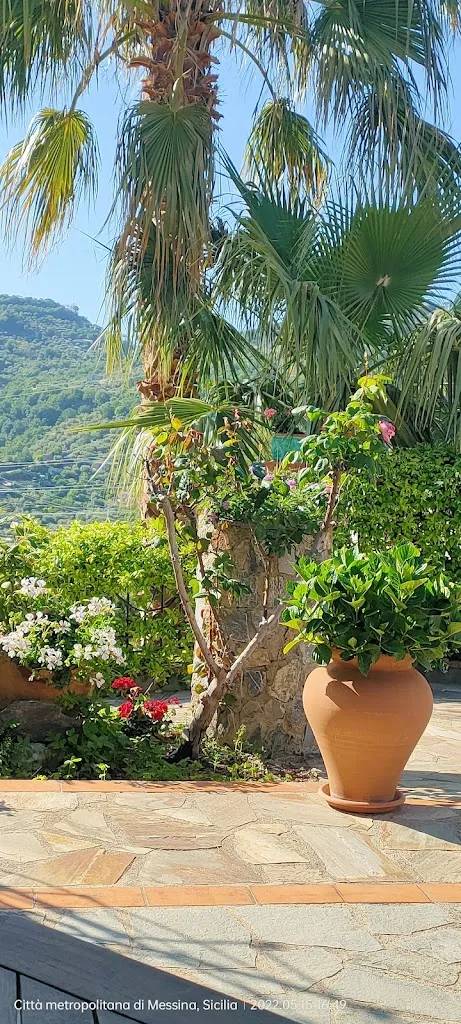 Rosy Chiovetta_Agriturismo - Ristorante Borgo San Francesco_Gioiosa Marea_review