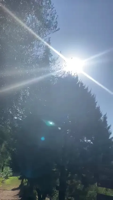 Agriturismo - Ristorante Borgo San Francesco_Gioiosa Marea_slider_image_2