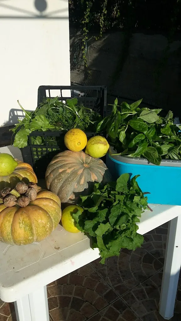 Menu_Ristorante al Trotto_Gualtieri Sicaminò_image_7