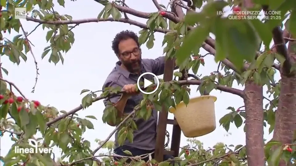 Il Ciliegio dell'Etna_Giarre_slider_image_2