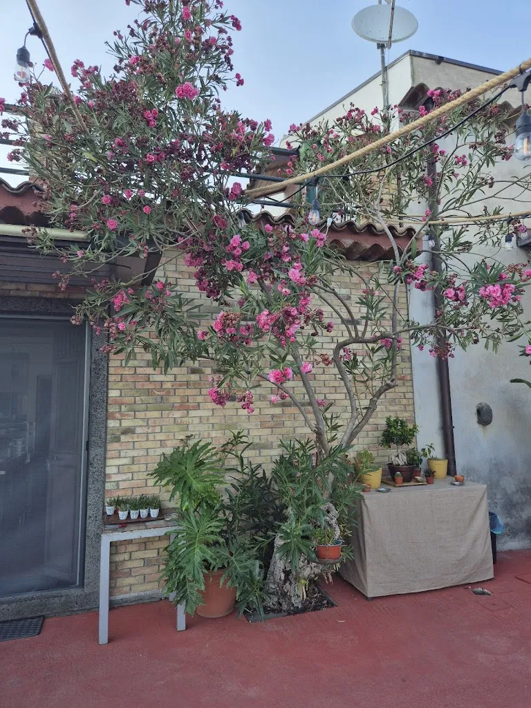 Leon Langrish_Il Noceto dell'Etna_Giarre_review