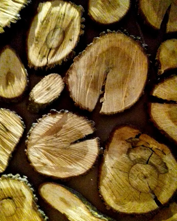 Menu_Zen_Gravina in Puglia_immagine_6