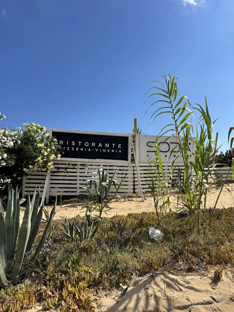 Jindra Klemesova_SODA Thanks_Ispica_review