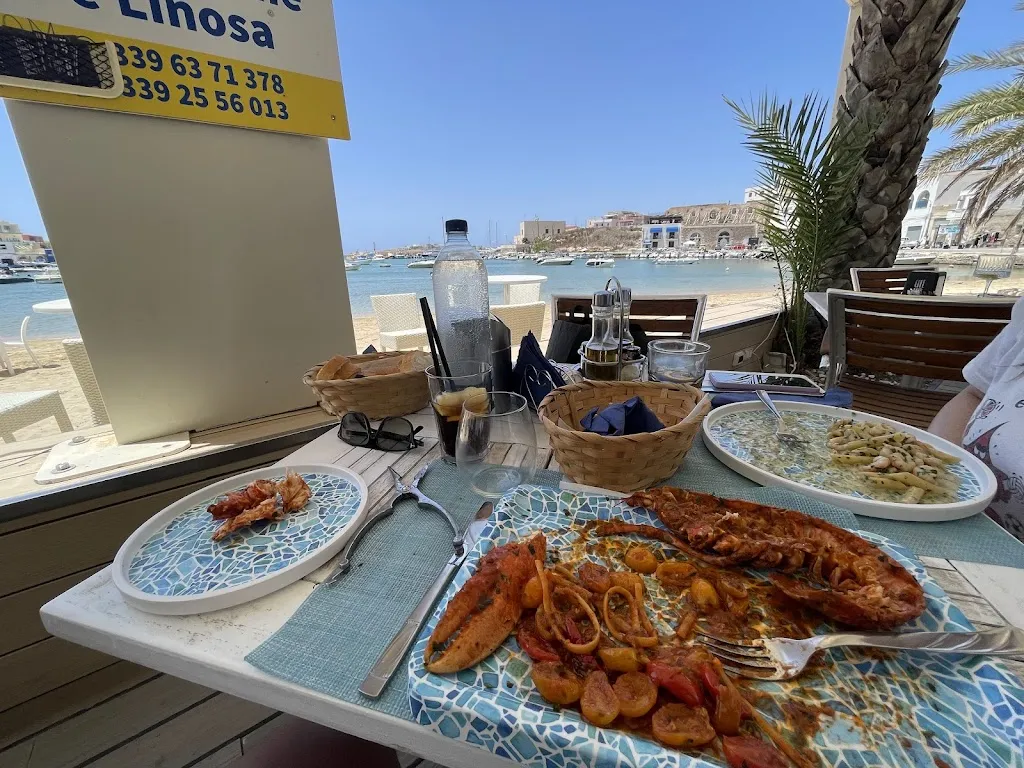 Robert Mandelli_PLAYA DE PALMA_Lampedusa_review
