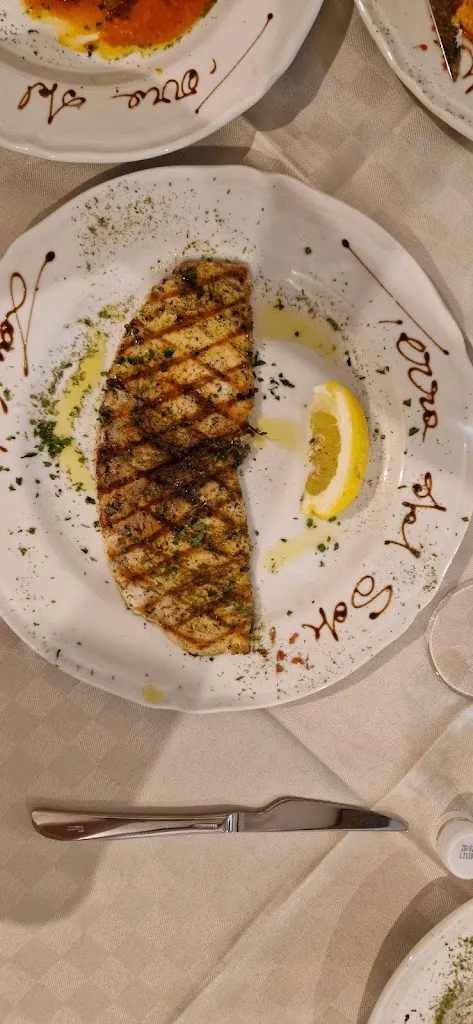 Richard Johnstone_Terra del Sole_Lampedusa_review