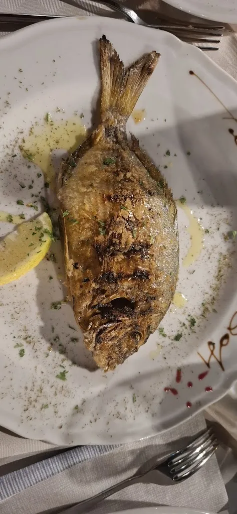 Alex Cherubin_Terra del Sole_Lampedusa_review