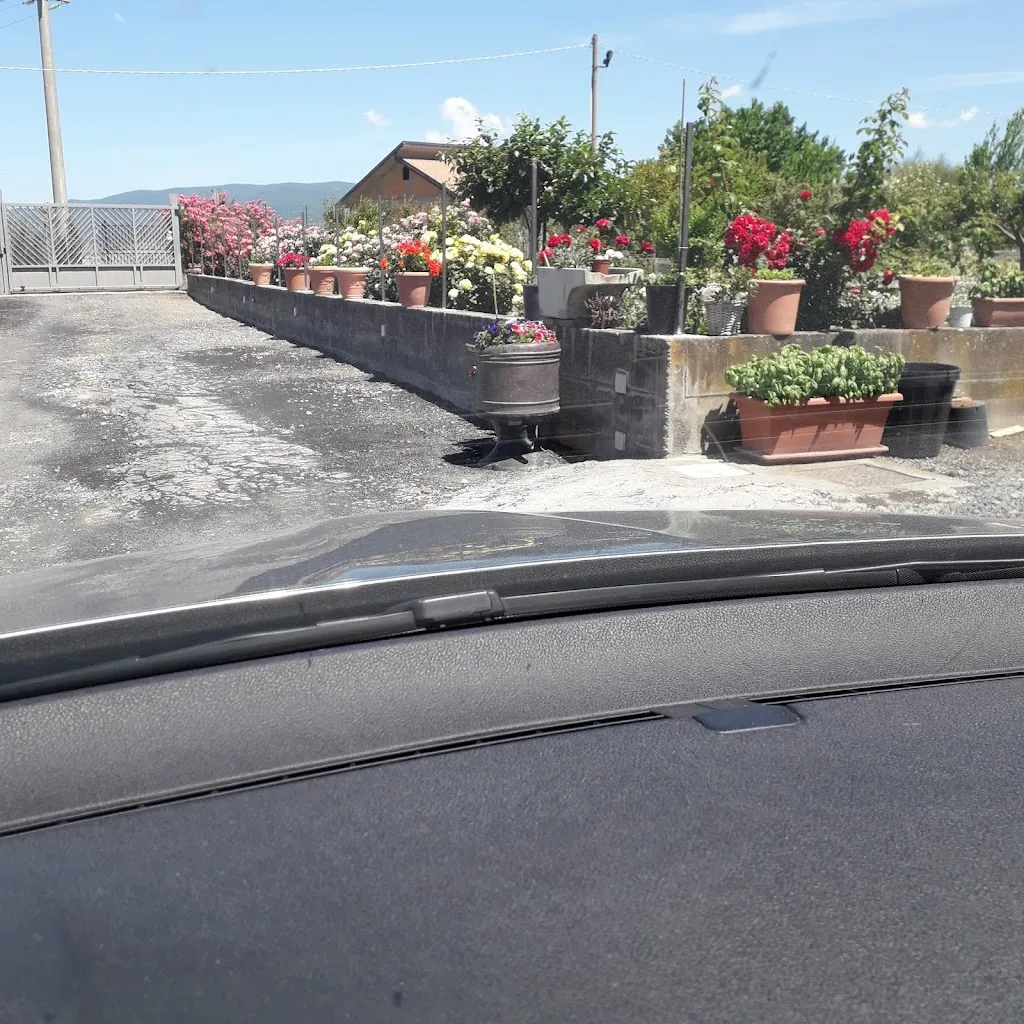 Caffè e Pizzeria del Corso di Portale Vincenzo_Maletto_slider_image_2