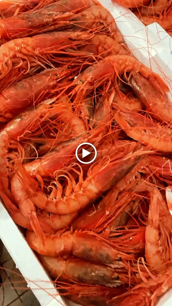 Trattoria Donna Rosa_Licata_slider_image_2