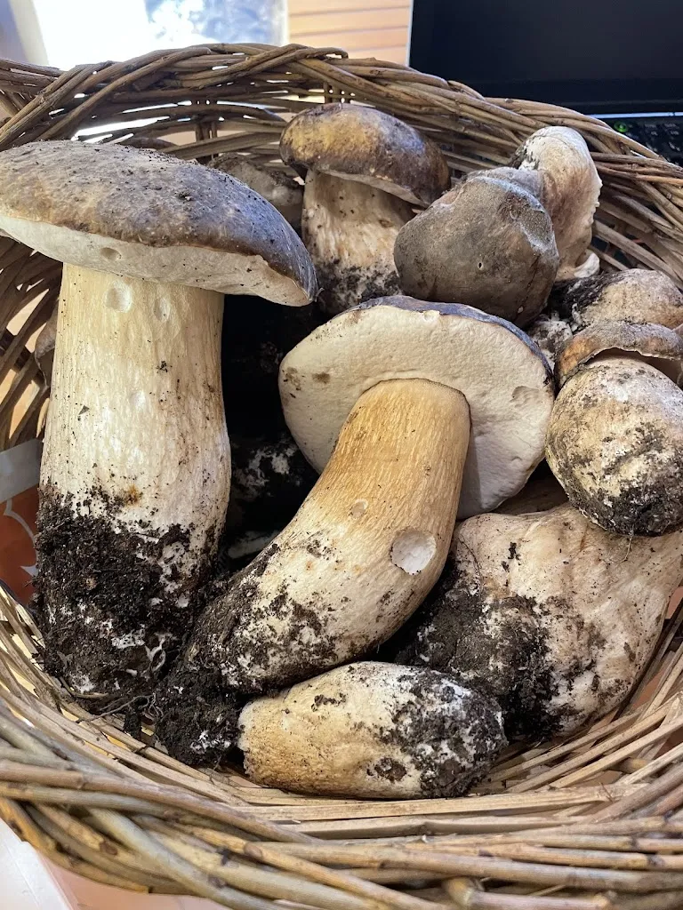 Menu_ristorante boccaperta SC._Linguaglossa_image_6