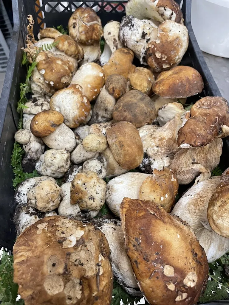 ristorante boccaperta SC._Linguaglossa_slider_image_3