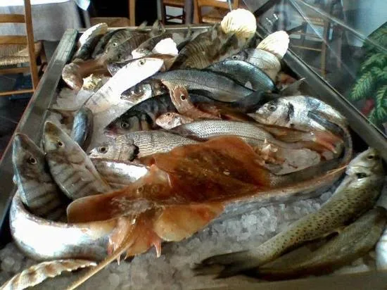 Ristorante Il Delfino - Da Vince'_Marina di Ragusa_slider_image_3